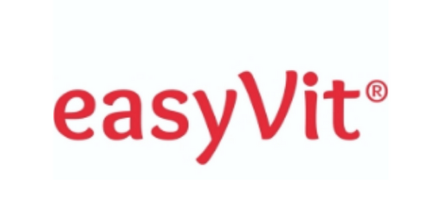 EasyVit