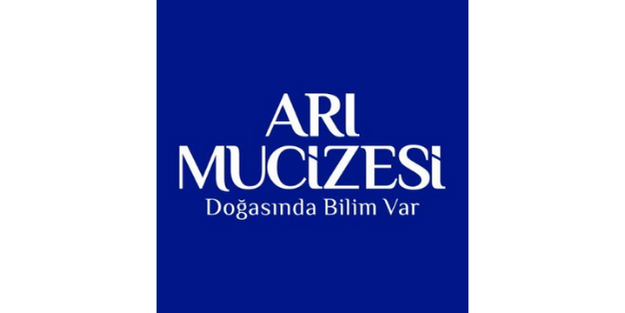 Arı Mucizesi
