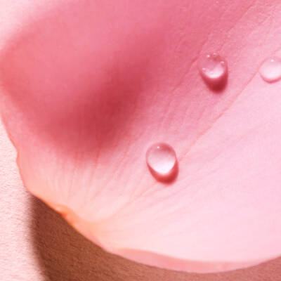 Nuxe Very Rose Parfume Sprey 100 ml - 5