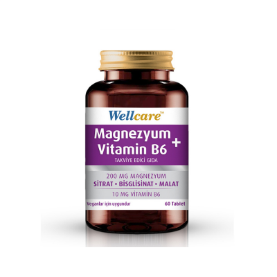 Wellcare Magnezyum + Vitamin B6 60 Tablet - 1