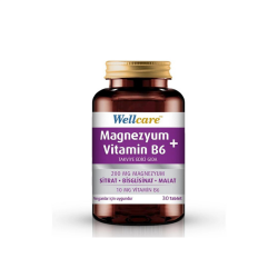 Wellcare Magnezyum+Vitamin B6 Takviye Edici Gıda 30 Tablet - Wellcare